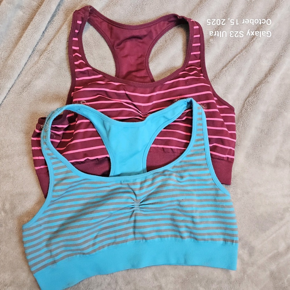 Aerie Sports Bras (Includes 2) XL Striped Athletic Sports Bra
